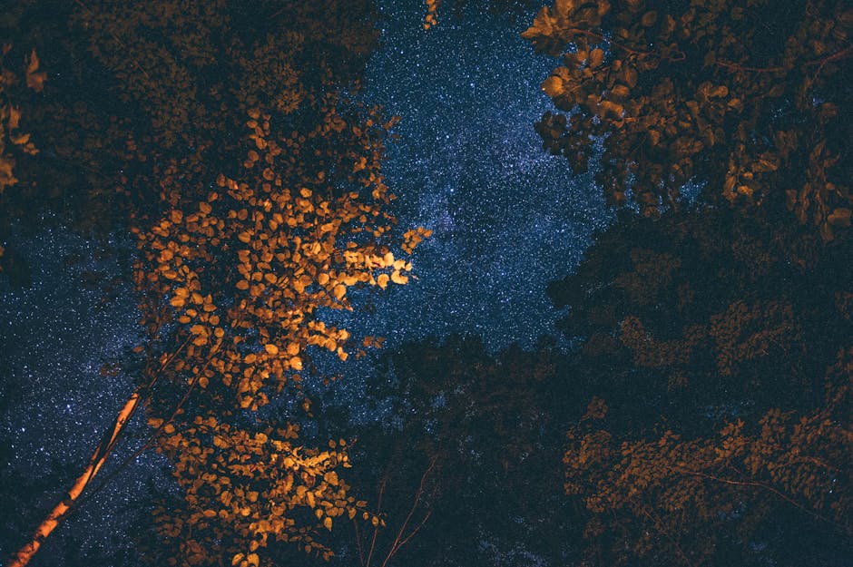 春の夜、窓辺の植物とノート、万年筆が静かに並ぶ静物と、外の風景が柔らかく写る