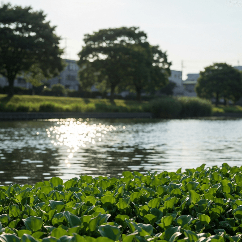 初夏の夕暮れ、東京の川沿いを流れる穏やかな水面。西日がきらめき、水草の緑が鮮やか。遠景には木々の緑が広がる。
