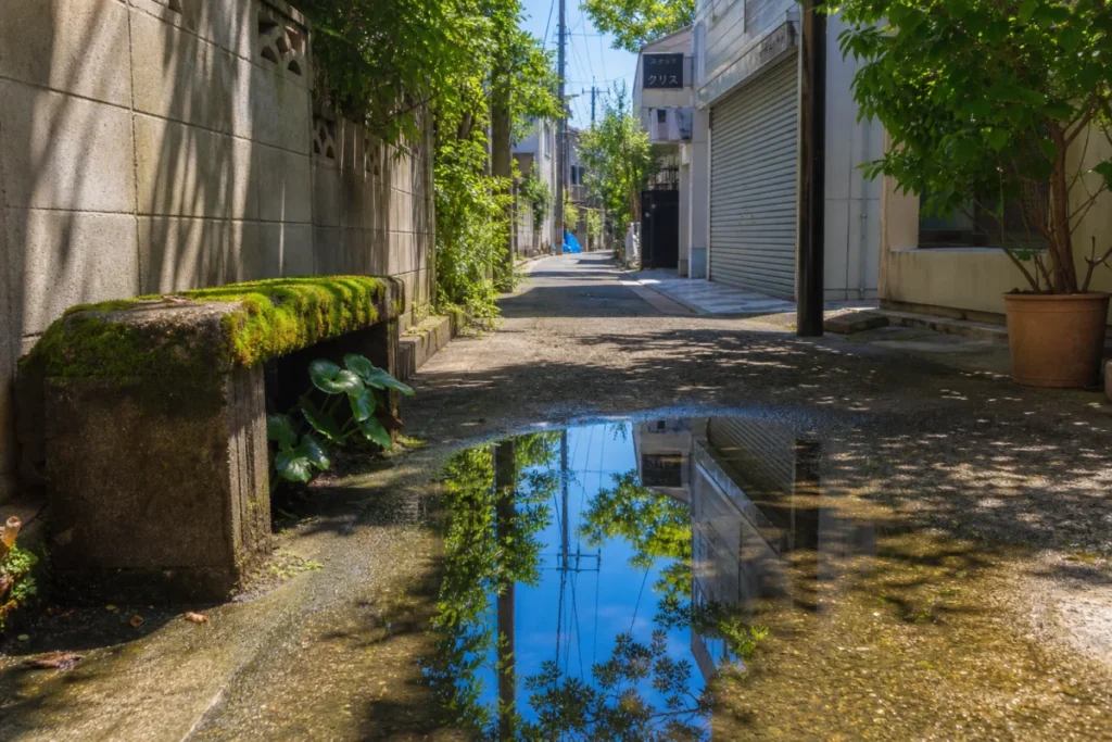 水たまりに映る空と木漏れ日