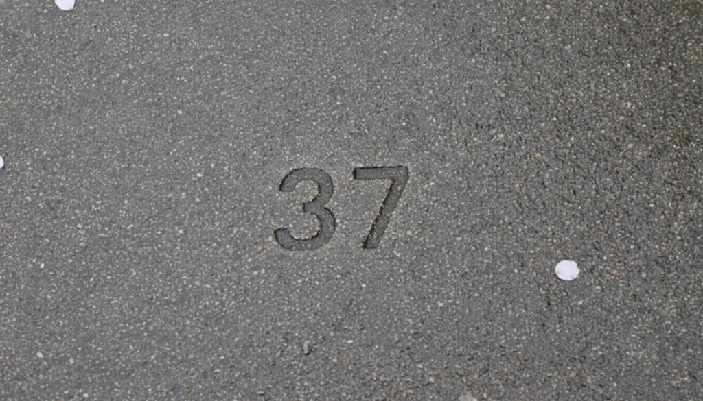 地面の亀裂に刻まれた数字と、濡れた路面の質感